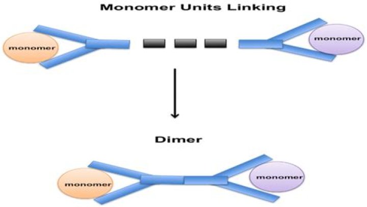 How are dimers formed?