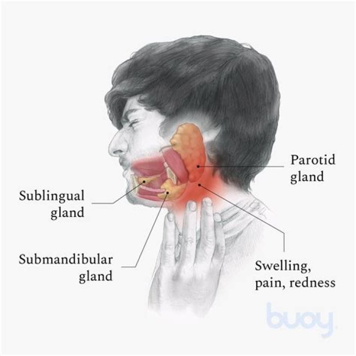 How big are swollen glands in neck?