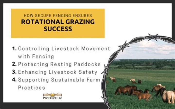 How can seaweed prevent grazing?