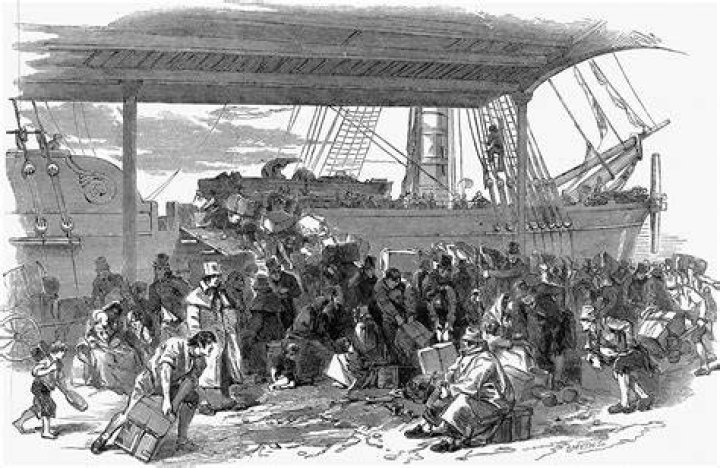How did the potato famine start?