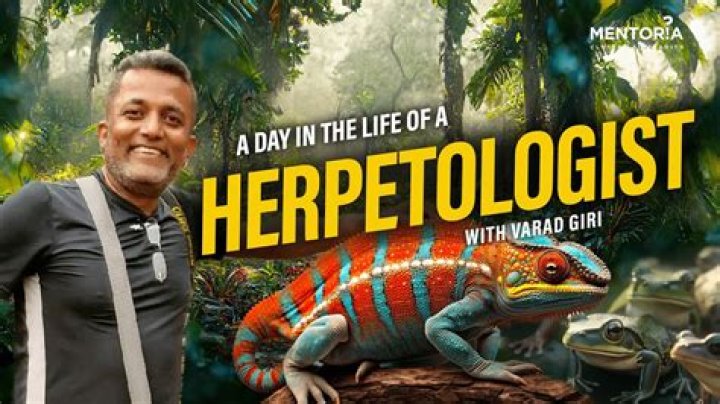 How do herpetologists work?