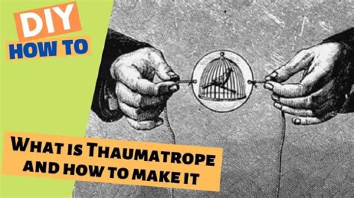How does a thaumatrope work?