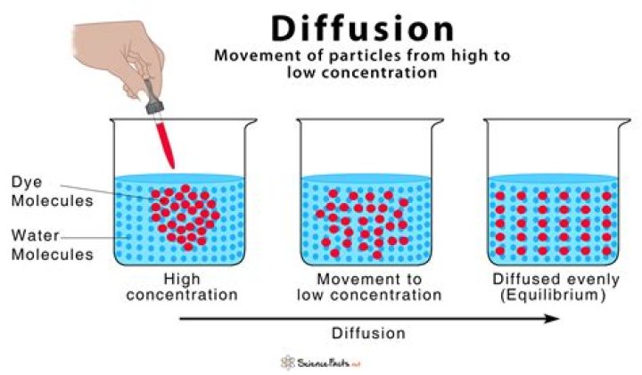 How does diffusion work?