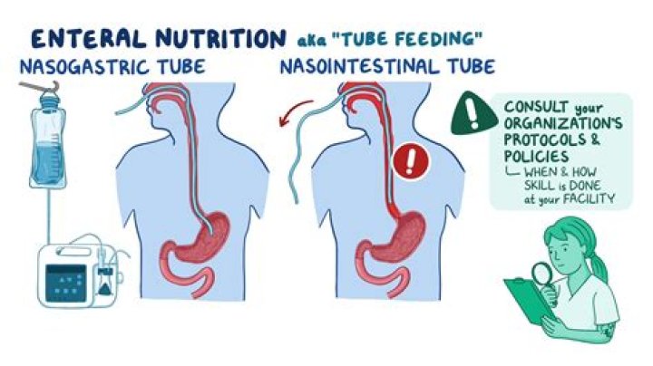 How does enteral nutrition work?