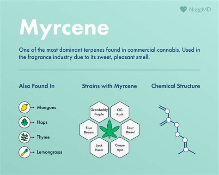 How does myrcene make you feel?