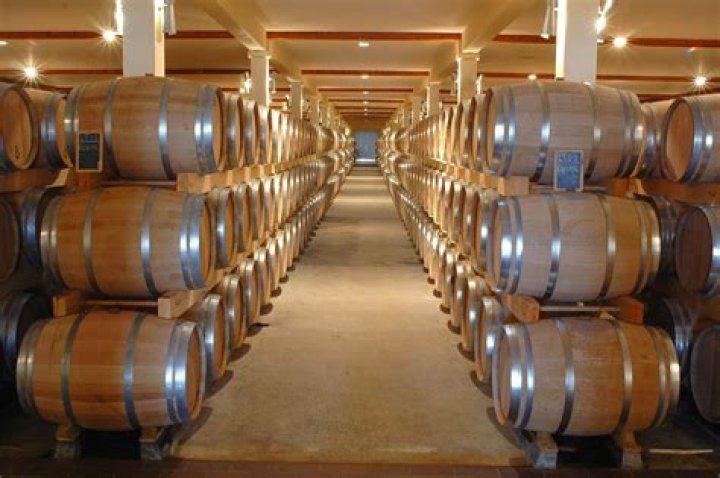 How grapes turn into wine?