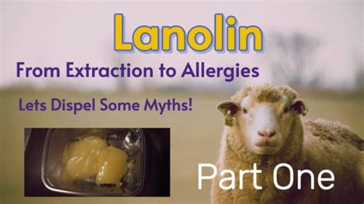 How is lanolin extracted?