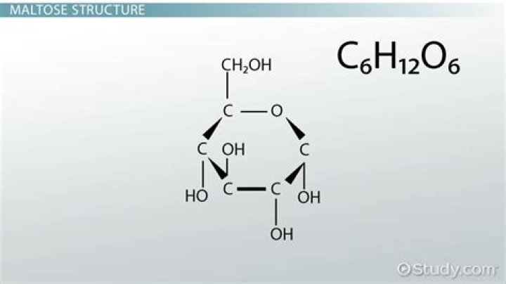 How is maltase found?
