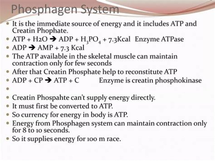 How is phosphagen made?