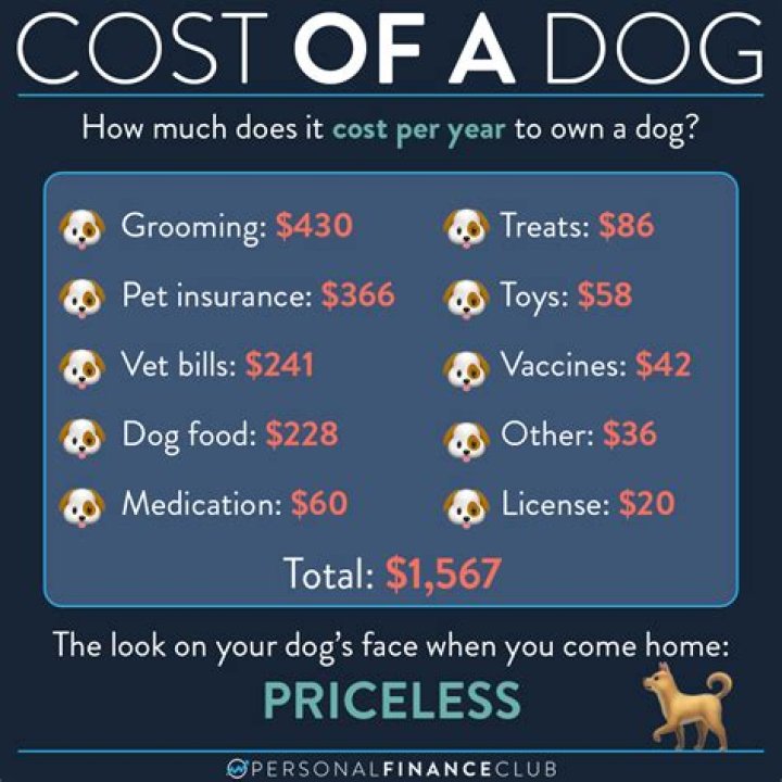 How much does it cost to have a dog done?