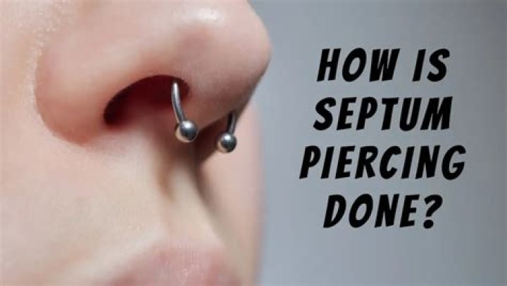 How much is a septum piercing?