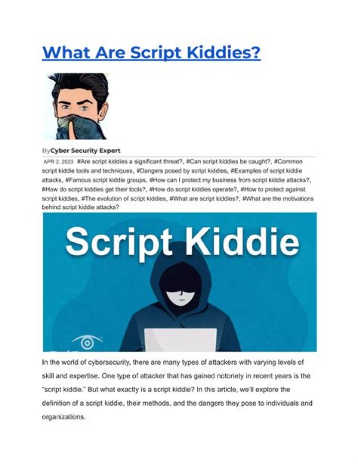 How much is script kiddies?