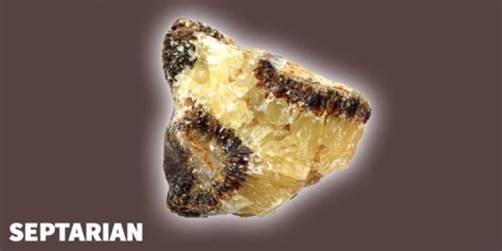 How much is septarian worth?