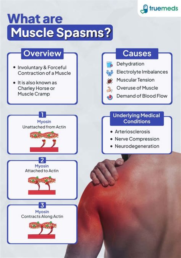 How often do infantile spasms occur in a day?