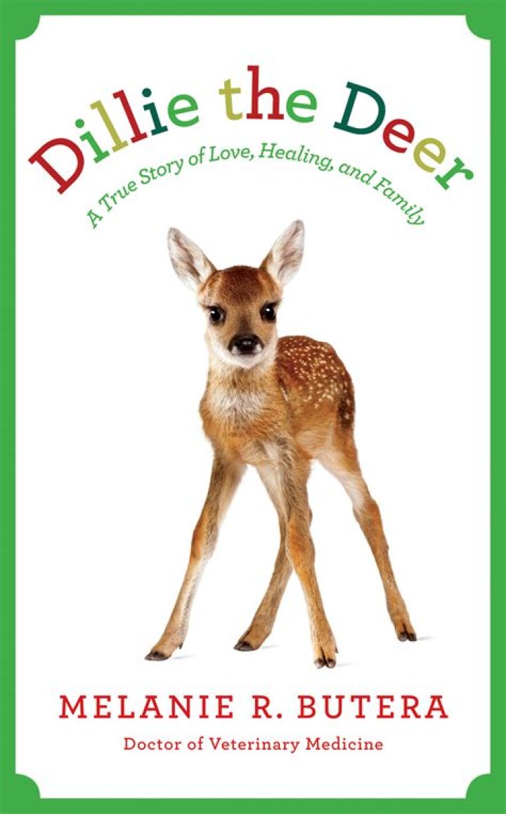 How old is dillie the deer?