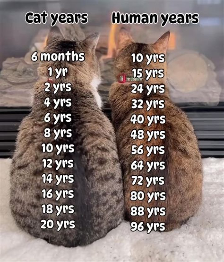 How old is timeworks?
