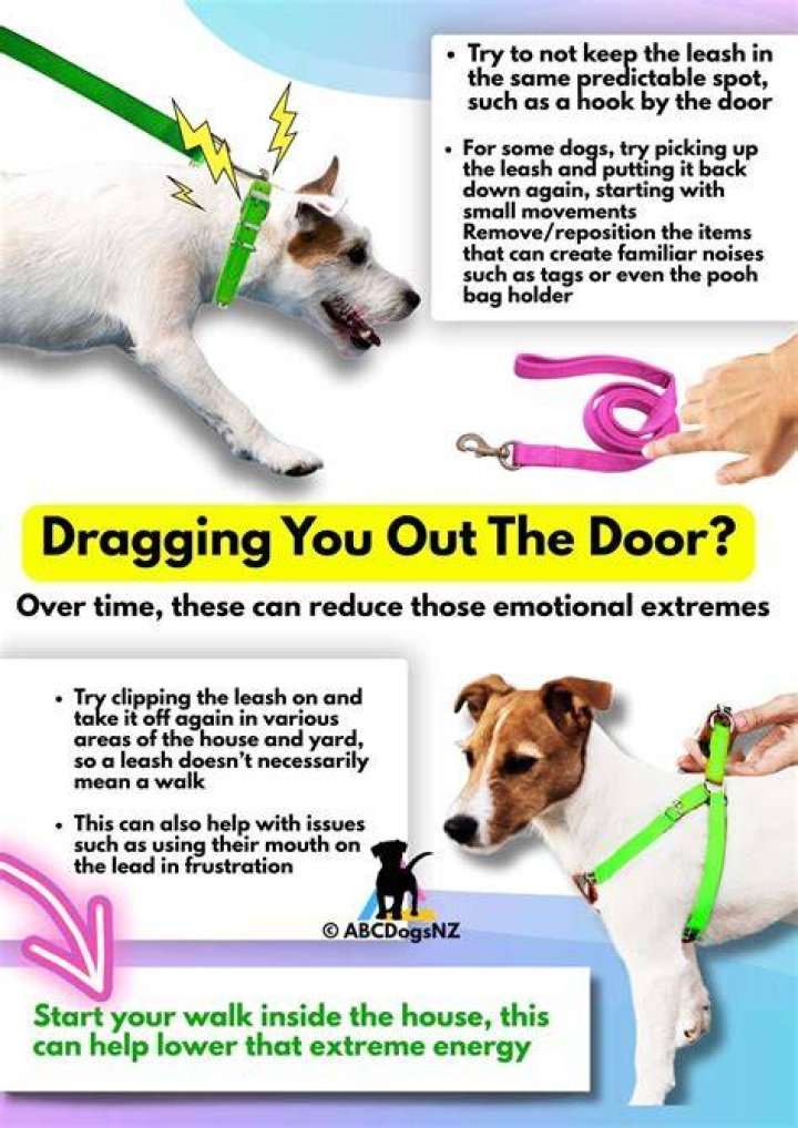 How to excite your dog?