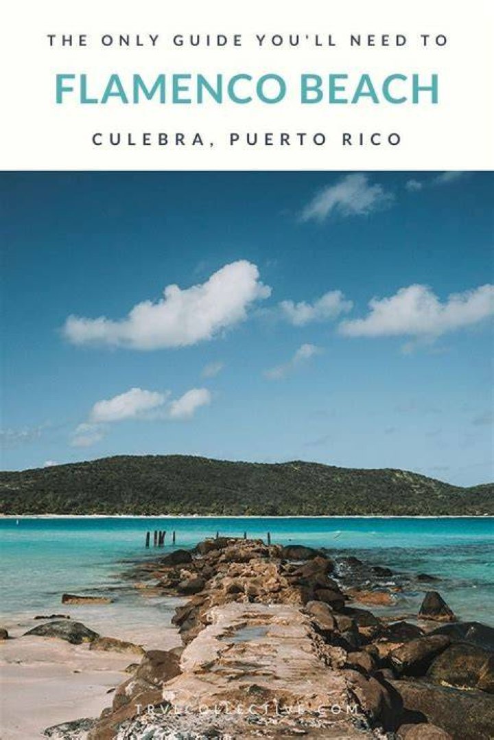 How to get to flamenco beach?