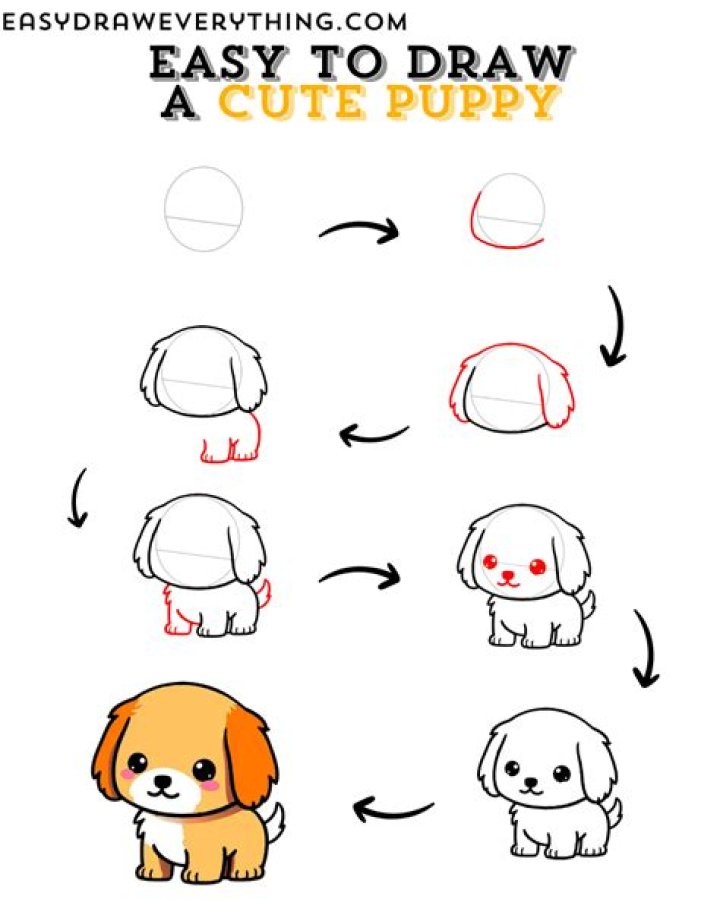 How to make your puppy a lap dog?
