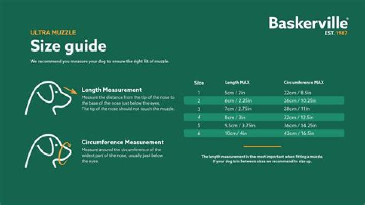 How to size baskerville muzzle?