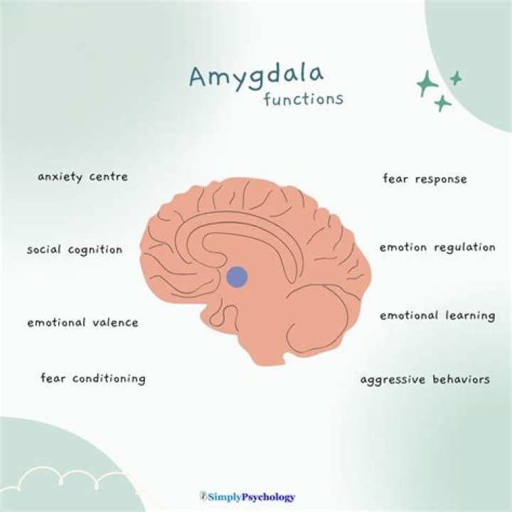 How to spell amygdaloid?