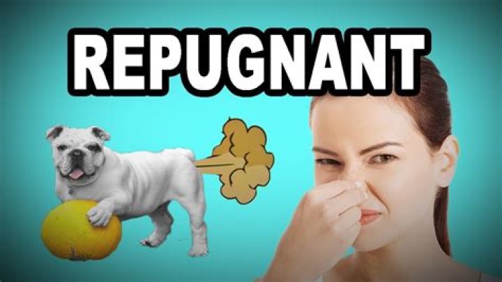 How to use the word repugnant?