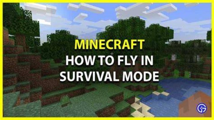 In minecraft how to fly in survival?