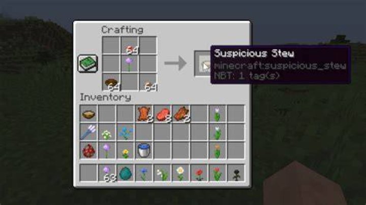 In minecraft what is suspicious stew?