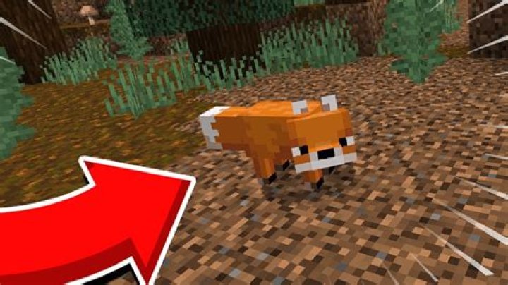 In minecraft where do foxes spawn?