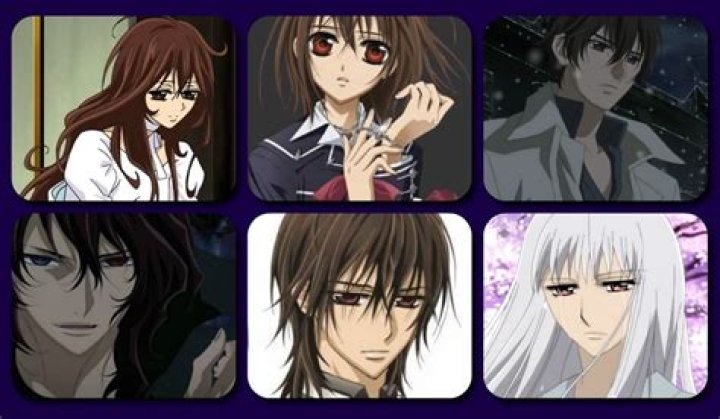 In vampire knight what is a pureblood?