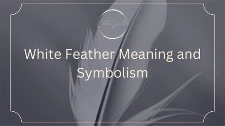 In white feather meaning?