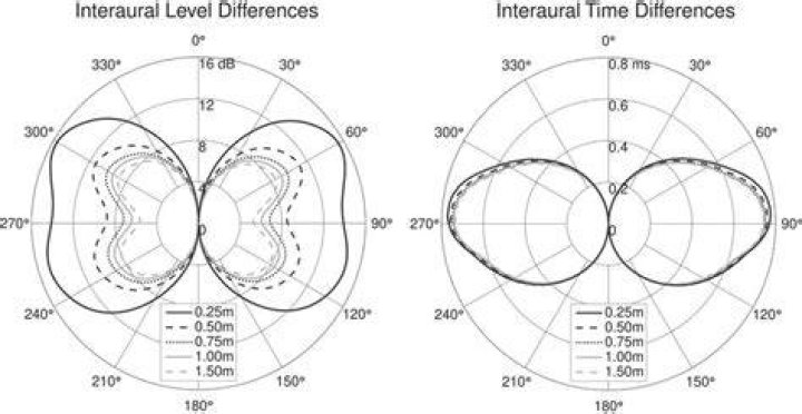 Interaural differences in time and level?