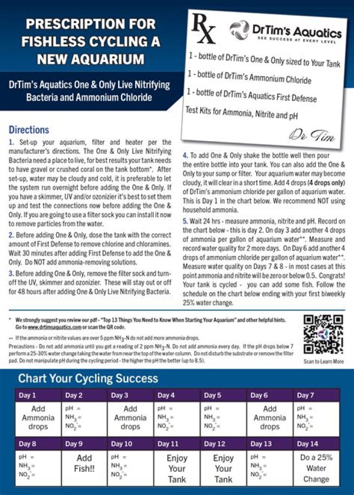 Is a fishless cycle necessary?