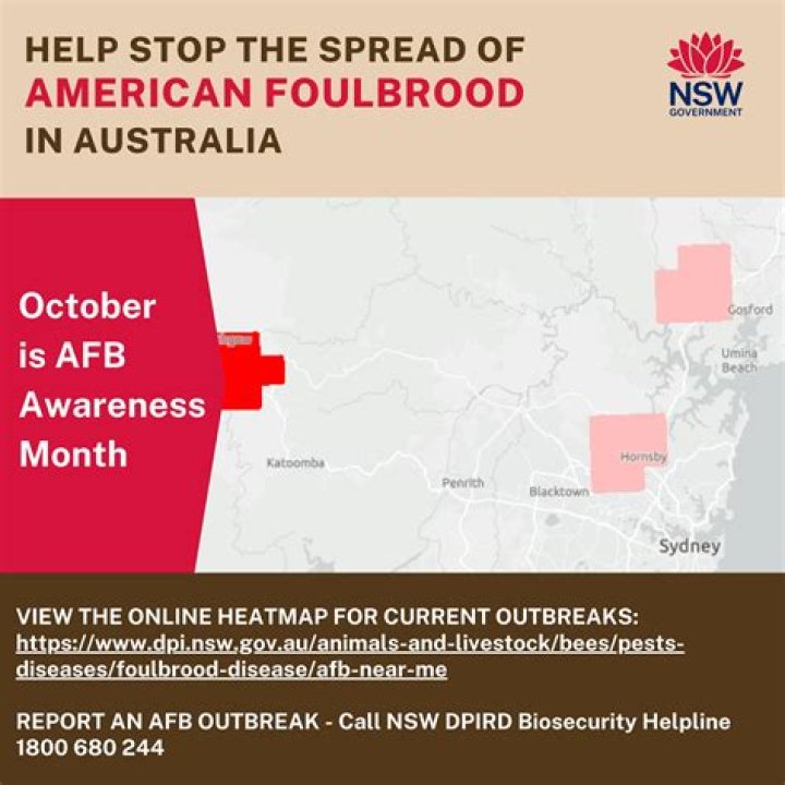 Is american foulbrood in australia?