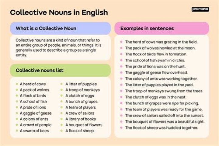 Is anthology a collective noun?