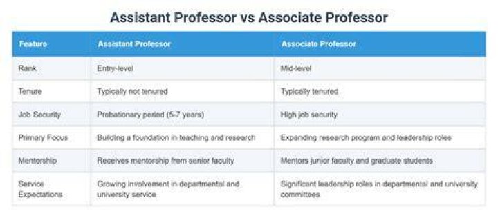 Is assistant professor a professor?