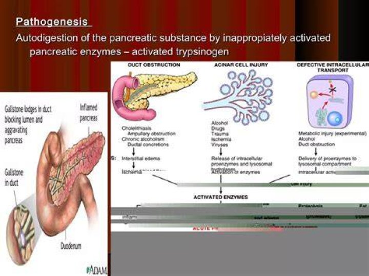 Is autodigestion a word?