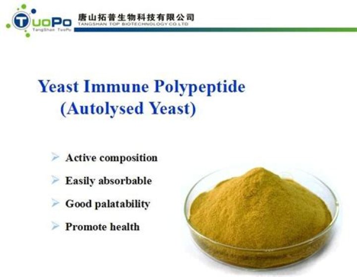 Is autolyzed yeast extract the same as msg?