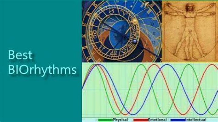Is biorhythm a real word?