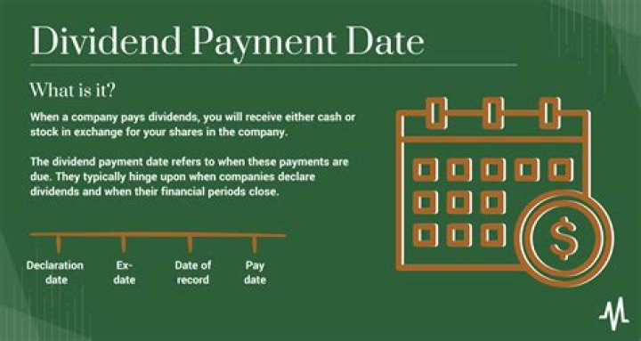Is boral paying a dividend in 2021?