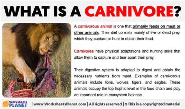 Is carnivora all natural?