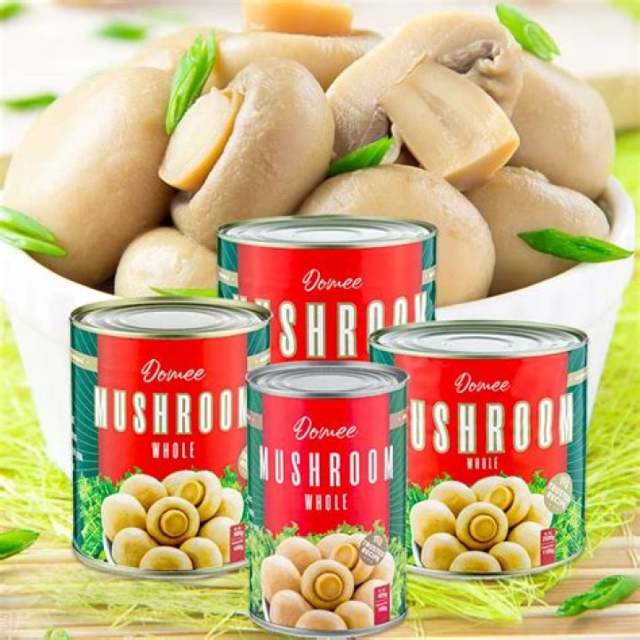 Is champignon brands a buy?