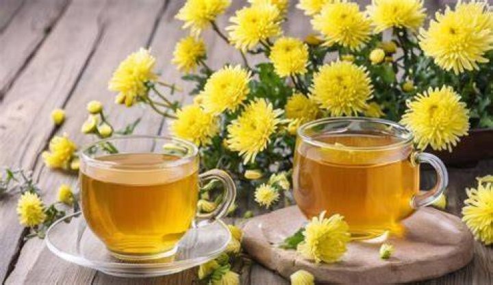 Is chrysanthemum tea good for you?