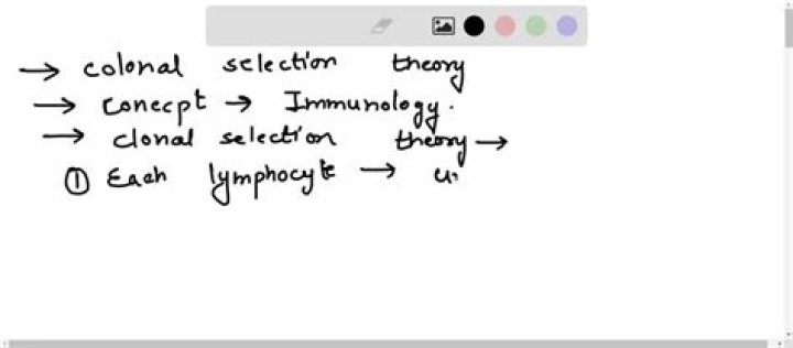 Is clonal selection theory?