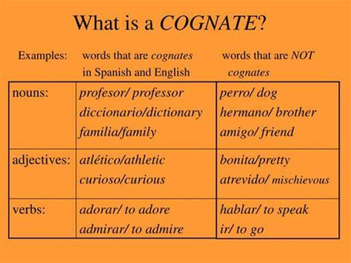 Is cognates the same as borrowed words?