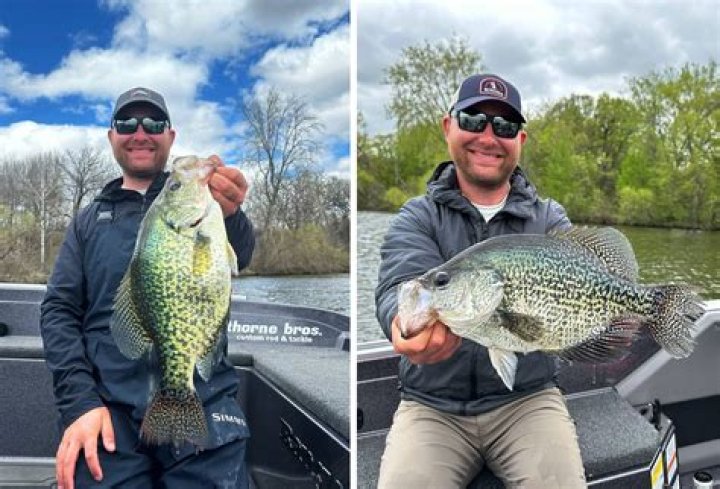 Is crappie good to eat?