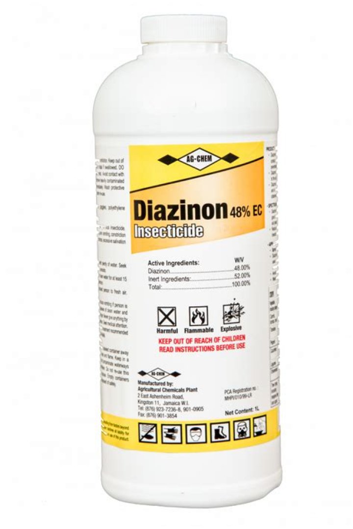 Is diazinon still available?