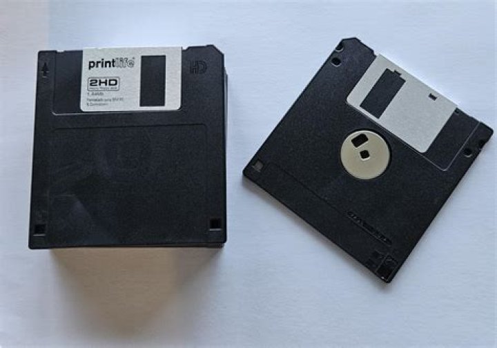 Is diskette an output device?