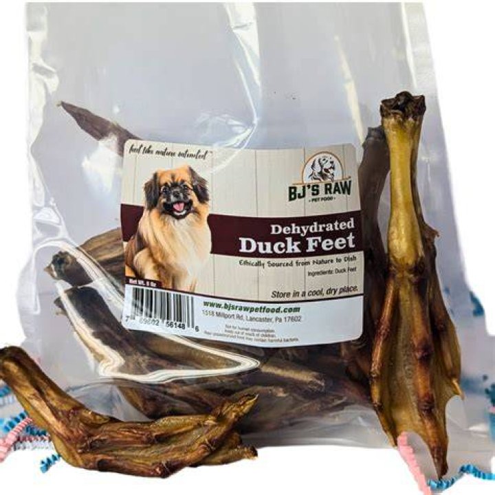 Is duck feet good for dogs?