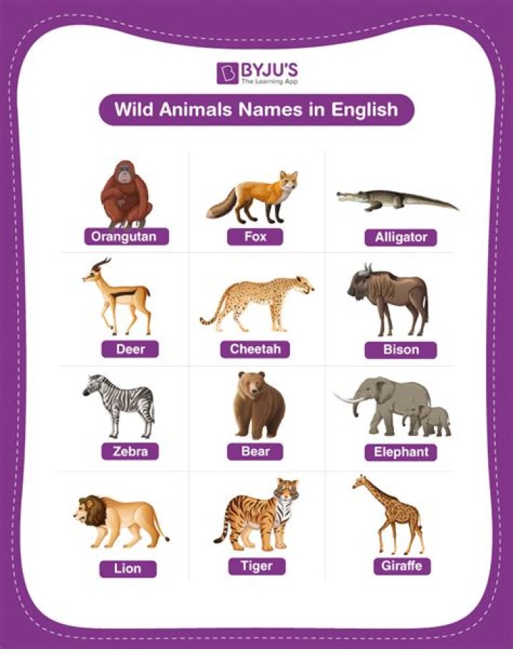 Is elgar an english name?